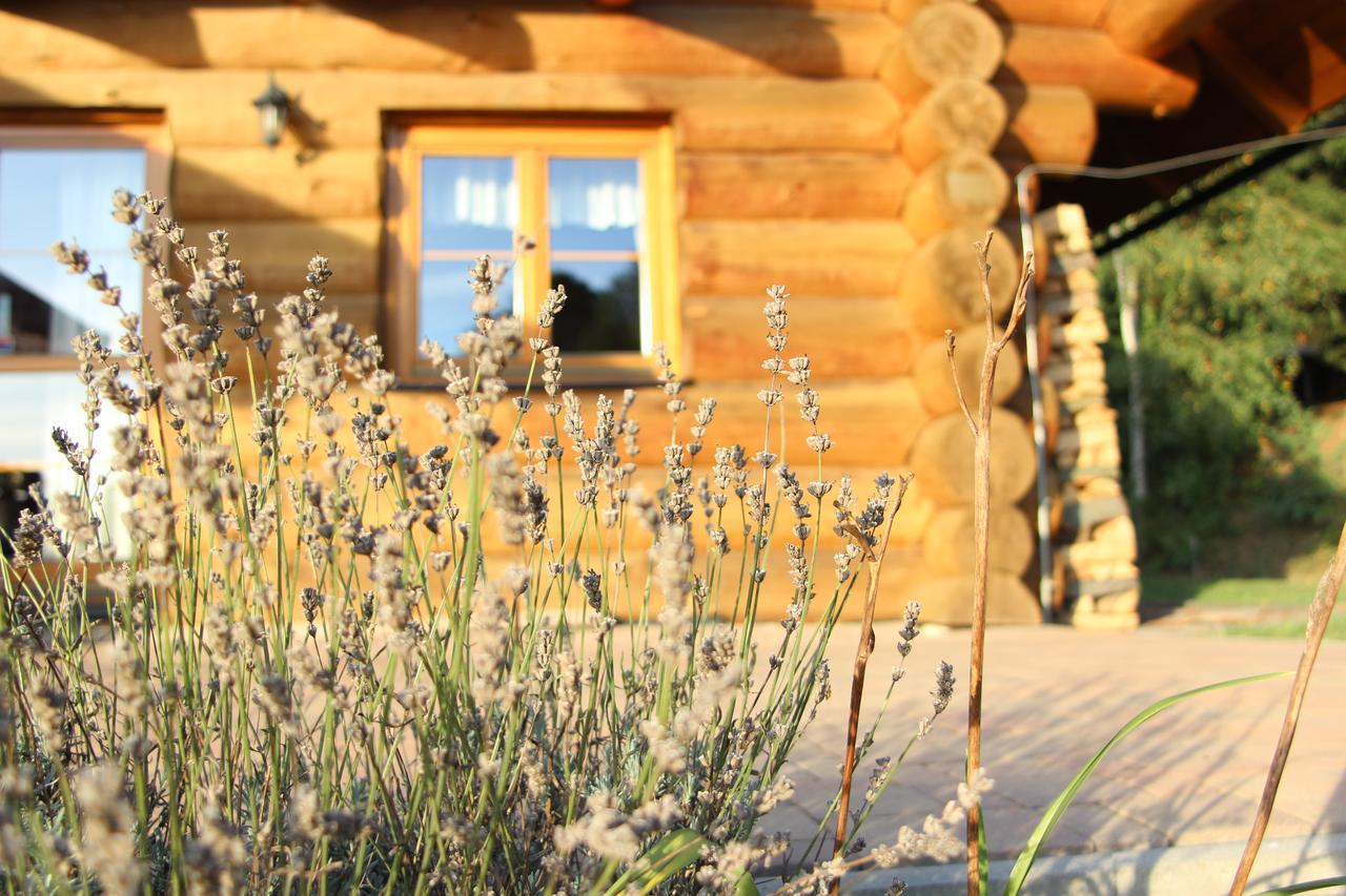 Villa Ranch Bystra Bystrá nad Jizerou Exterior foto